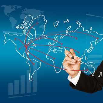 our-business-export-food